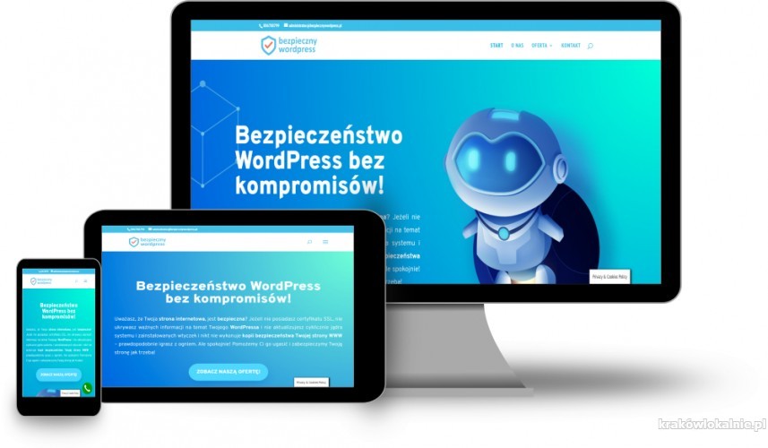 Bezpieczne strony internetowe WordPress z oryginalną grafiką i opieką