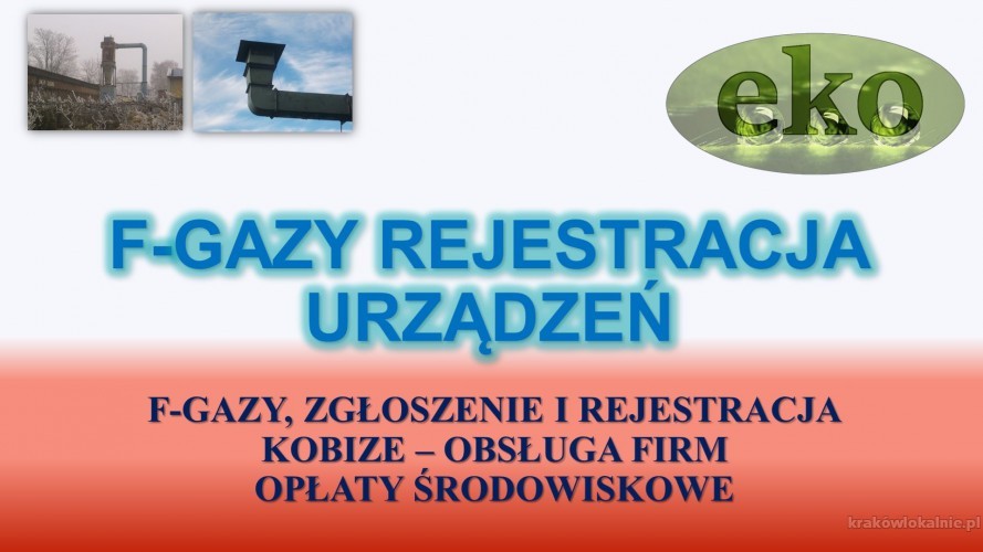 3_baza_danych_sprawozdan_czynnik_chlodniczy_fgazy_cro_bds.jpg