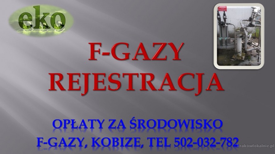 6_fazgy_bds_zgloszenie_rejestracja_opole.jpg