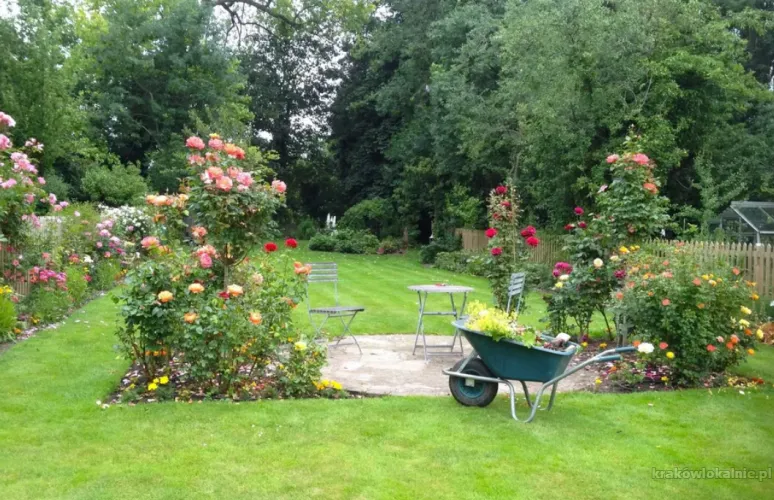 Usługi ogrodnicze - projektowanie ogrodów