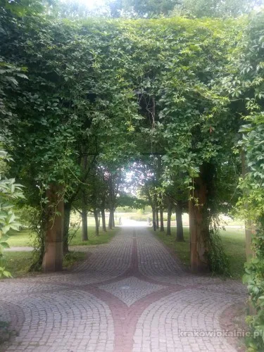 Chętnie poprowadzę profil obiektu noclegowego na Instagramie