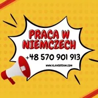 Lakiernik samochodowy- Niemcy