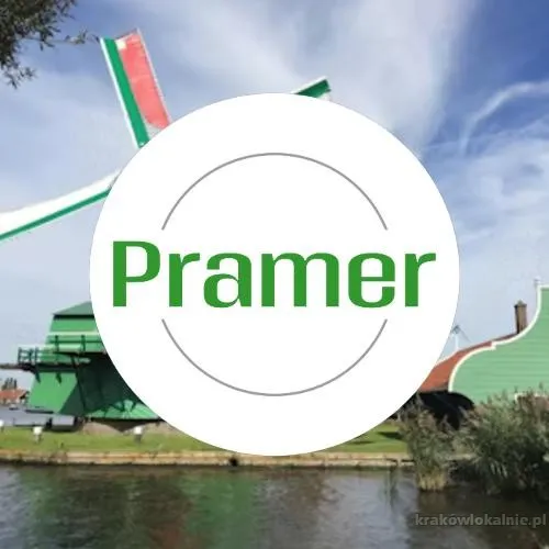 Pracownik przy produkcji wafli ryżowych (trzy zmiany)