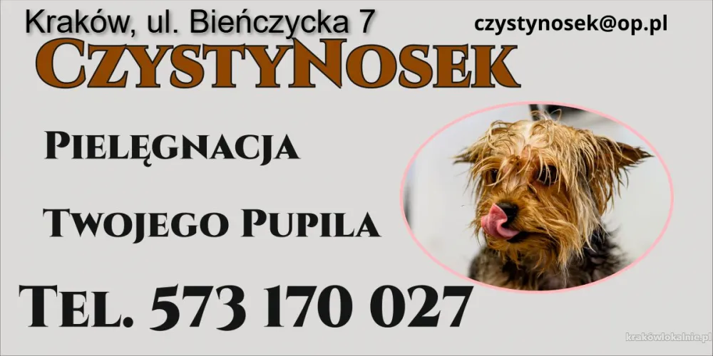 Strzyżenie i pielęgnacja piesków