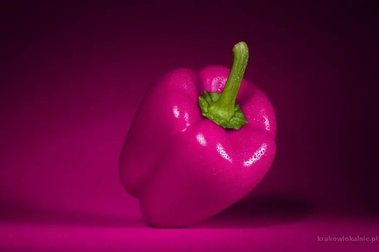 Praca w Holandii  Uprawa papryki