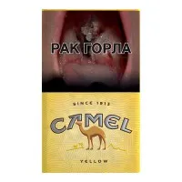 Papierosy Camel - Sklep z papierosami - Papierosek.com Papierosy Camel - Sklep z papierosami - Papierosek.com