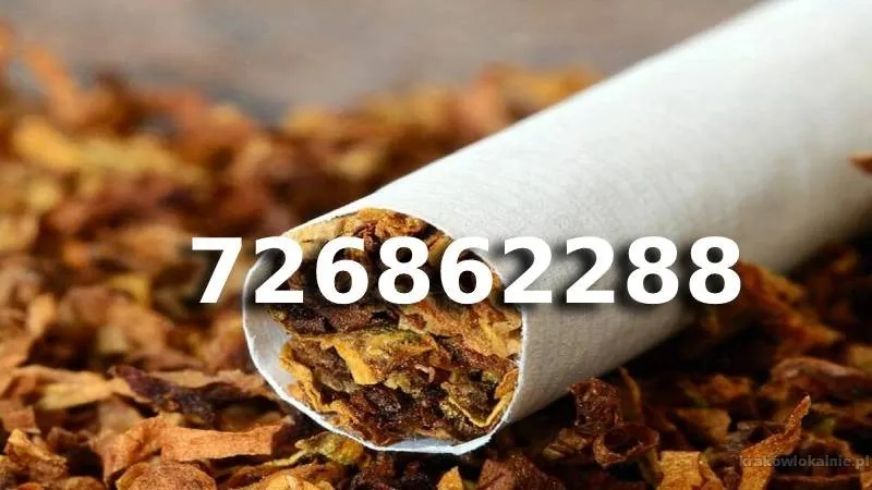 Bardzo Dobrej Jakości tani TYTOŃ na wagę 85 PLN/1KG