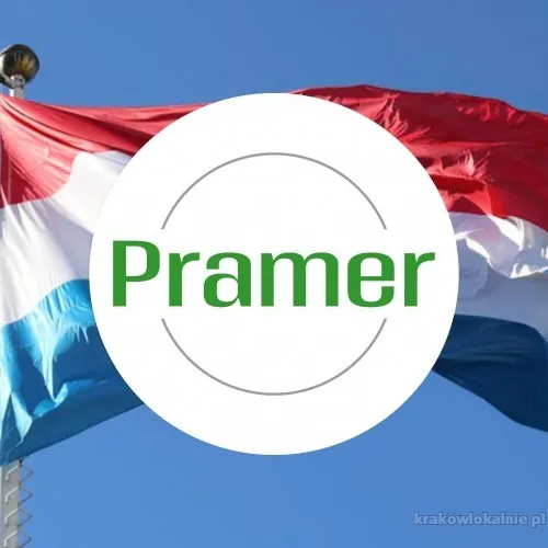Pracownik przetwórstwa pieczarek - praca w Holandii