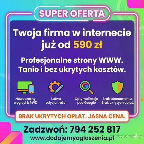 projektowanie-stron-www-tanio-590-zl-bez-abonamentu_(4).webp