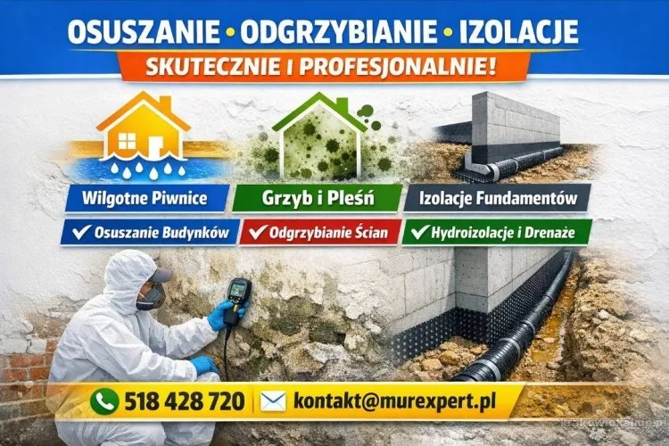 2_Profesjonalne_osuszanie_budynków_piwnic_odgrzybianie_izolacje_fundamentów_-_skuteczne_rozwiązania_dla_Twojego_domu.webp
