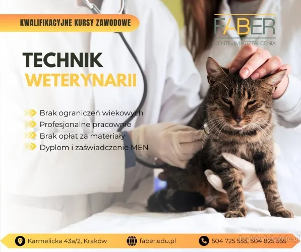 Technik Weterynarii. Kurs z dyplomem w Krakowie