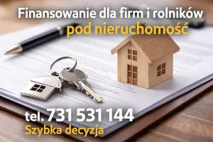 Bezpieczna pożyczka pod zastaw nieruchomosci bez BIK i KRD